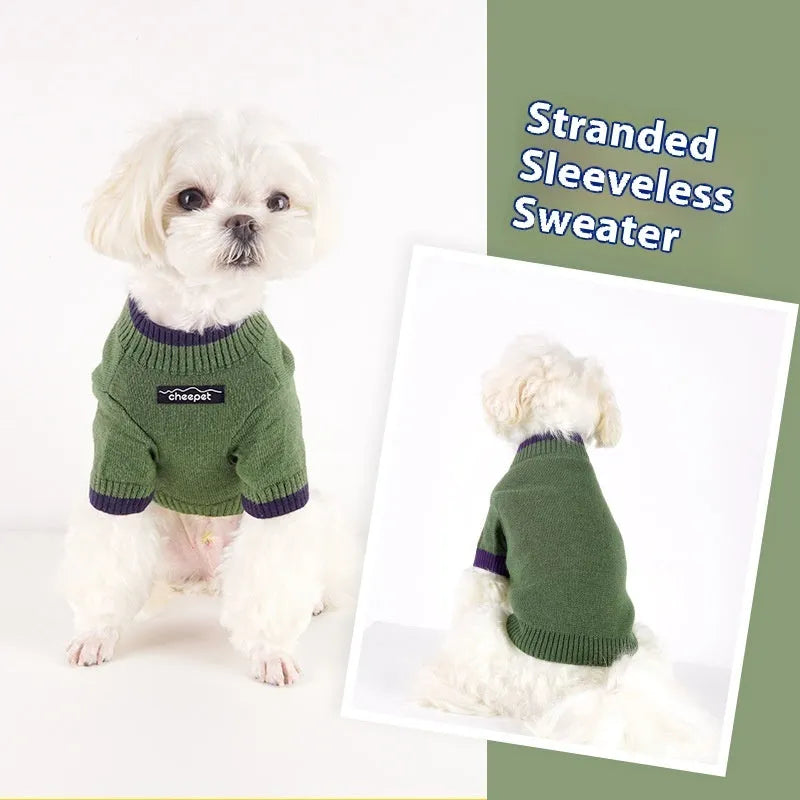 British style pet sweater with contrast colour design on dog model