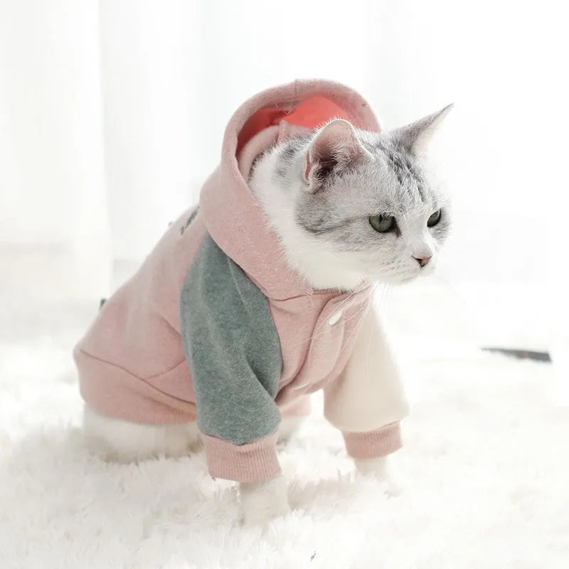 A brown cotton blend dog sweatshirt shown on a mannequin, size label visible.