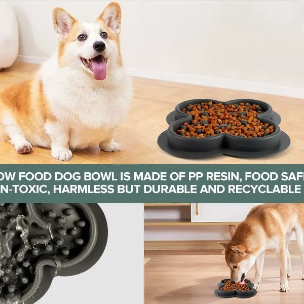 Silicone pet slow feeder licking mat with raised edges in assorted colours on a kitchen floor.