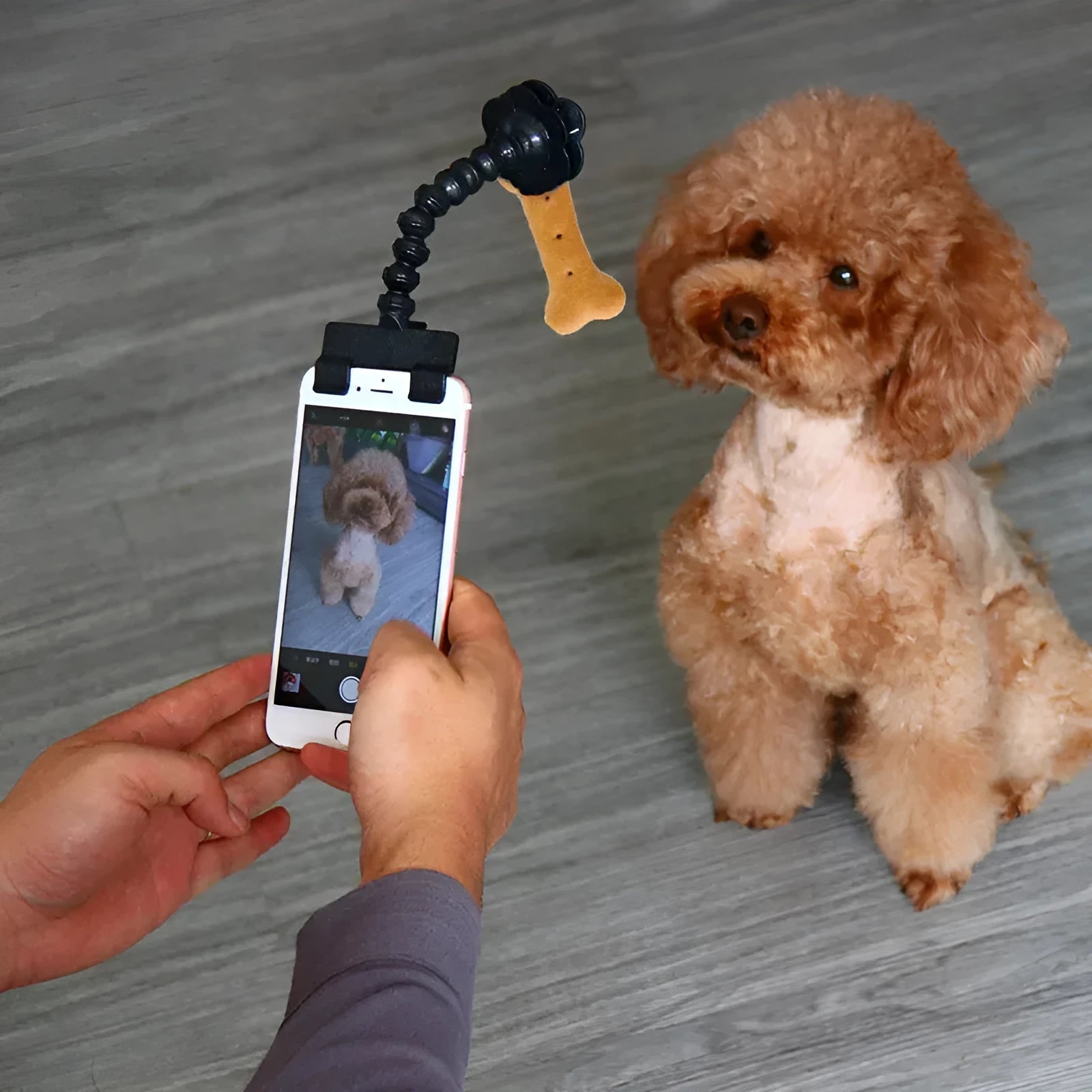 Black and white pet photography phone holder with snack grip and 360-degree rotation