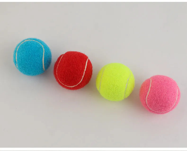 6.3 cm diameter solid rubber dog tennis ball in assorted bright colours on a green lawn.