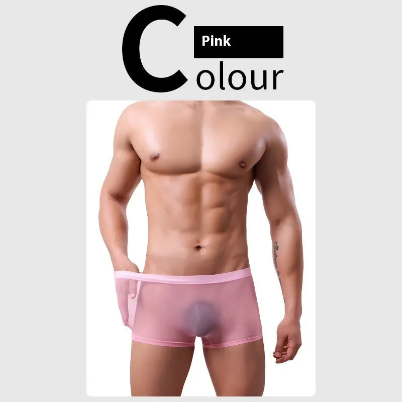 Men's mesh boxer briefs in black, white, green, sapphire blue, skin colour, or pink