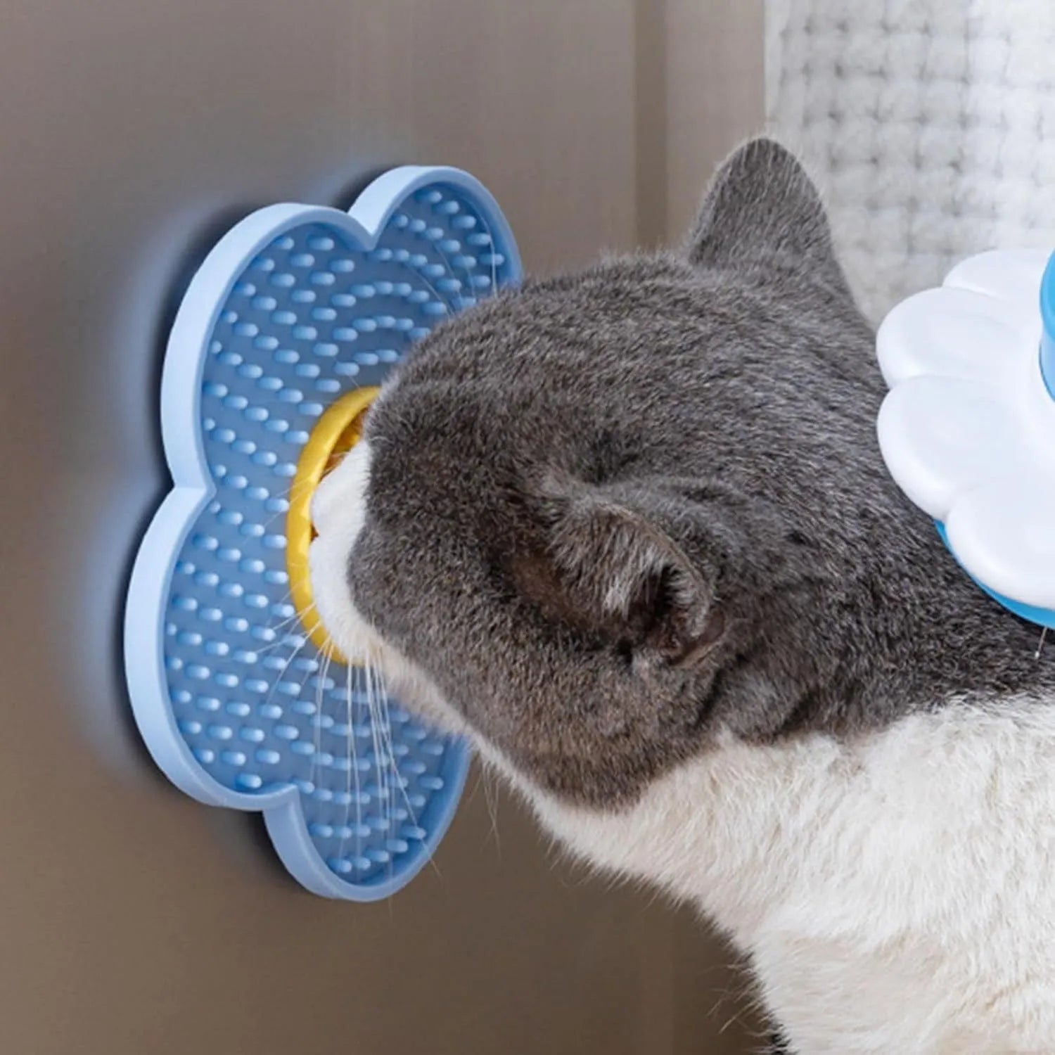 Flower-shaped silicone lick pad for cats and dogs with multiple suction cups on the back, shown in a choice of colours.