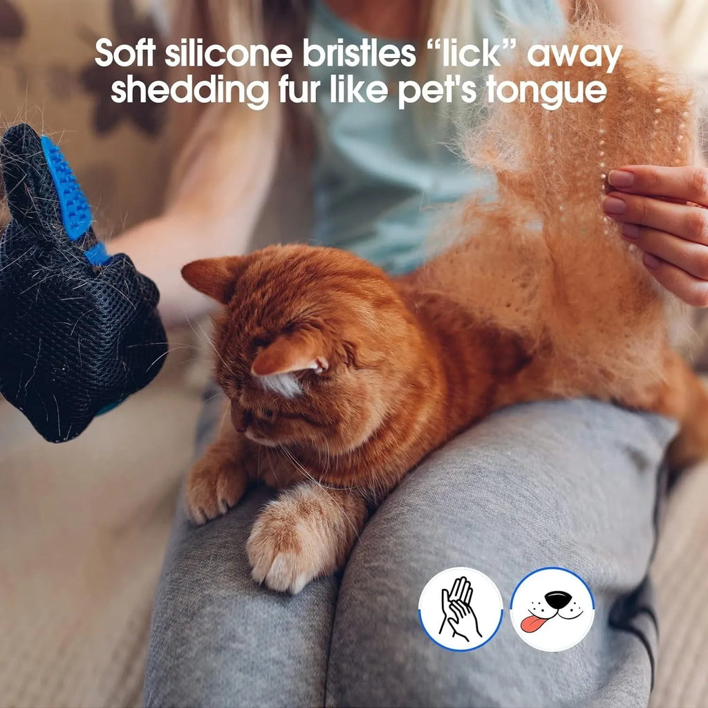 Blue pet grooming gloves with silicone tips for gentle hair removal from dogs and cats