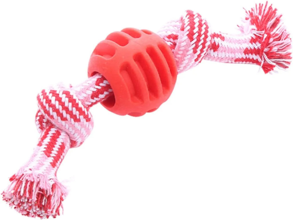 Blue dog chew toy with ropes and textured molar design for teeth cleaning