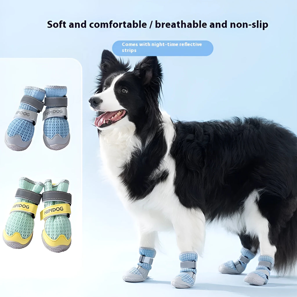 Cartoon style dog shoes in Bondi Blue colour showing breathable summer design with weight-based sizing