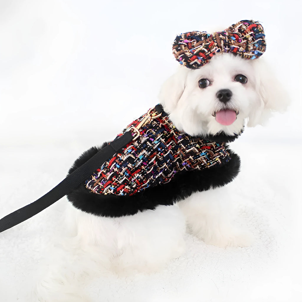 Dog wearing classic cloak with chest strap and attached hand holding rope
