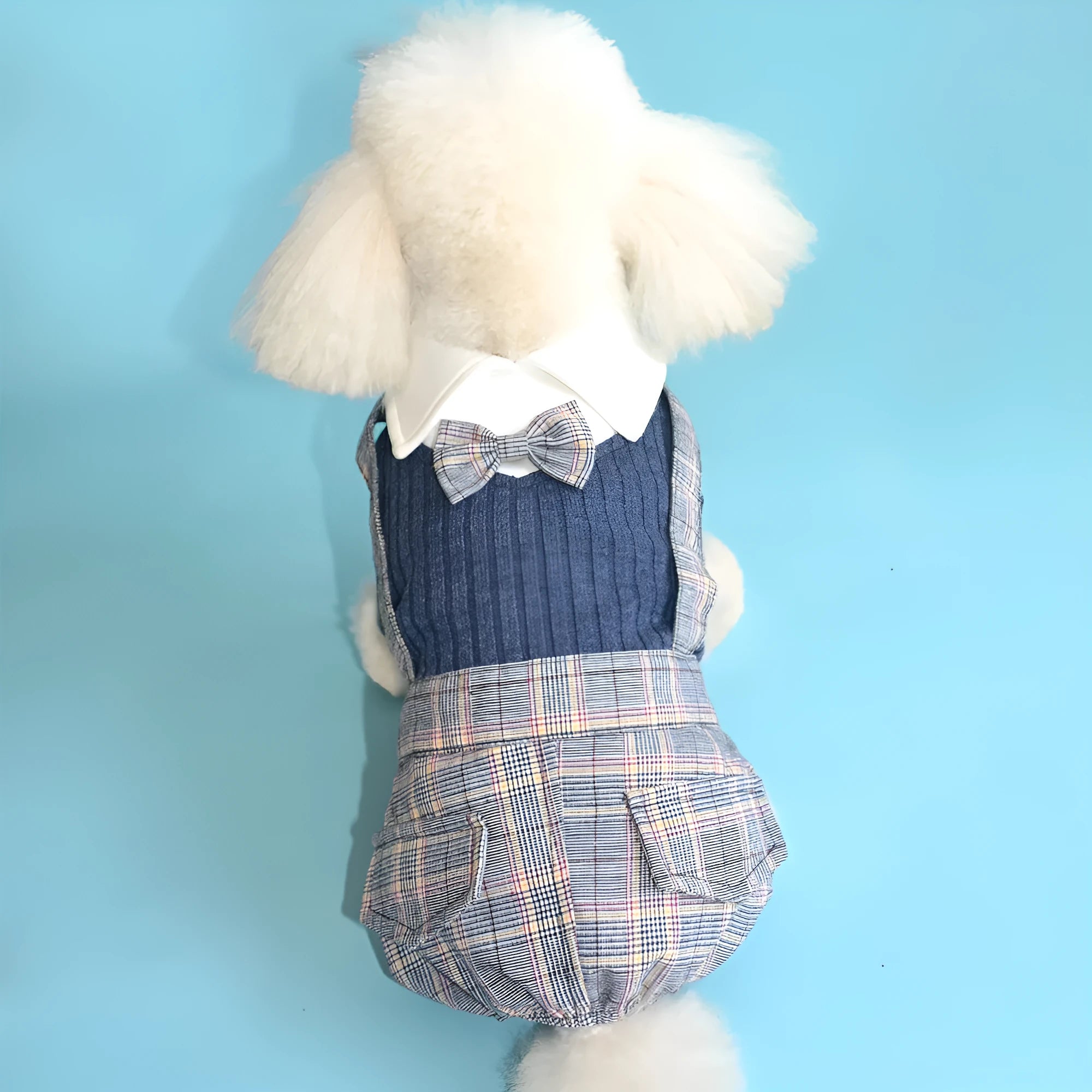 Orange cotton dog suit shirt with collar and buttons on a small dog