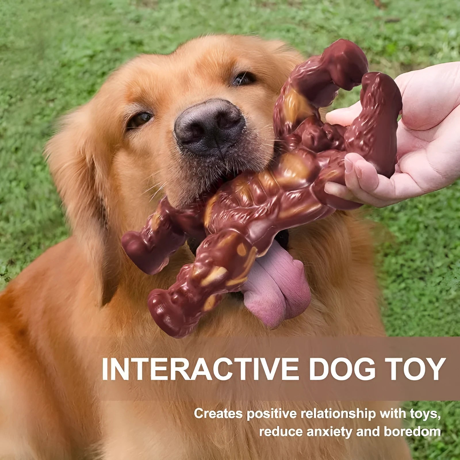 Scarlet red nylon dog chew toy with textured surface for dental care