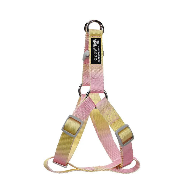 Nylon dog leash and collar set showing pink and blue gradient colour option.