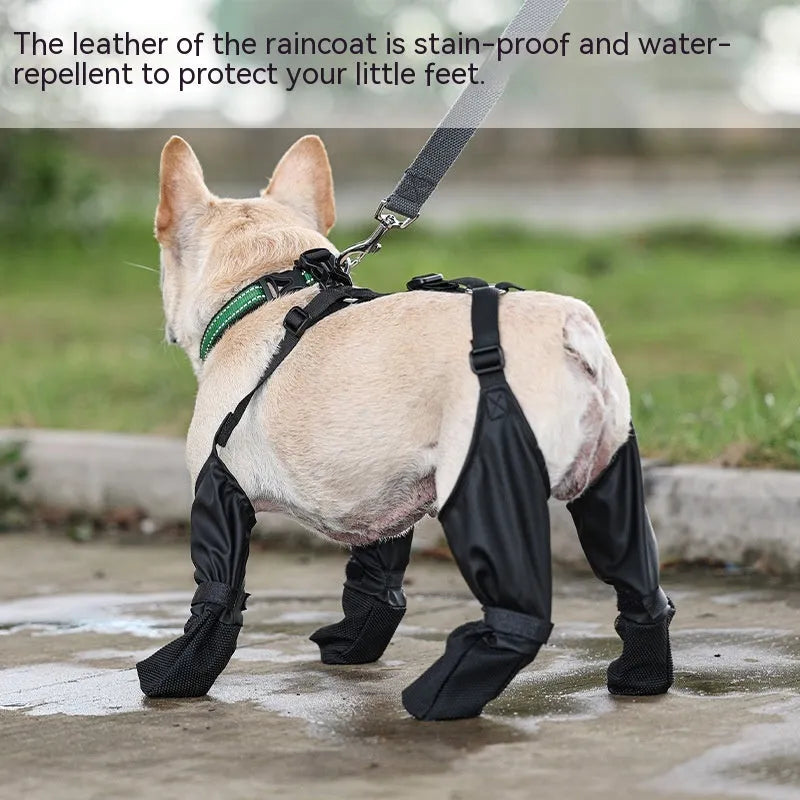 Black waterproof dog shoes with adjustable buckle and non-slip sole on surface