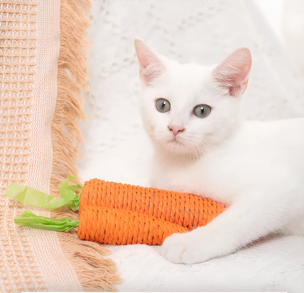 Set of assorted cat toys including fabric carrot bites, crinkly paper toys, ringing stones, feather-like sticks, and chewable tooth grinding sticks.