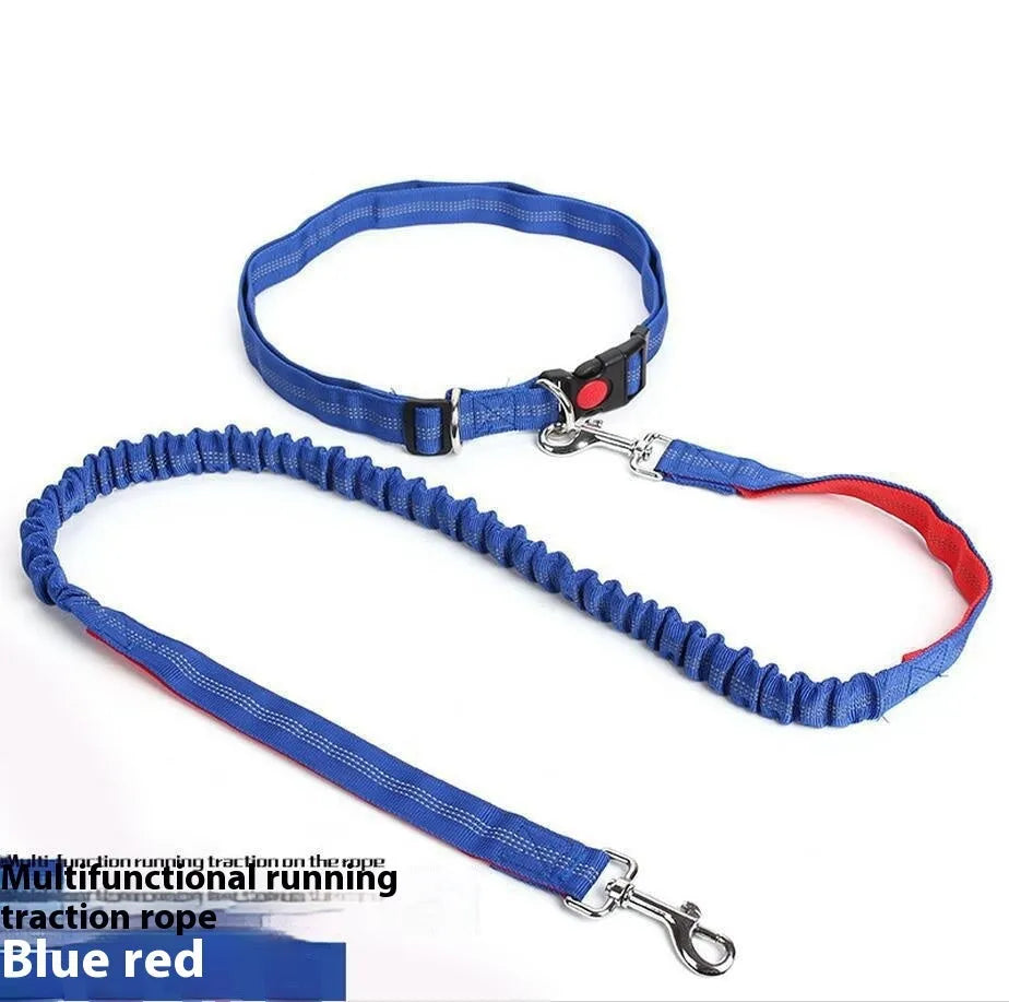 Grey and green elastic dog leash with reflective elements for night visibility during outdoor running