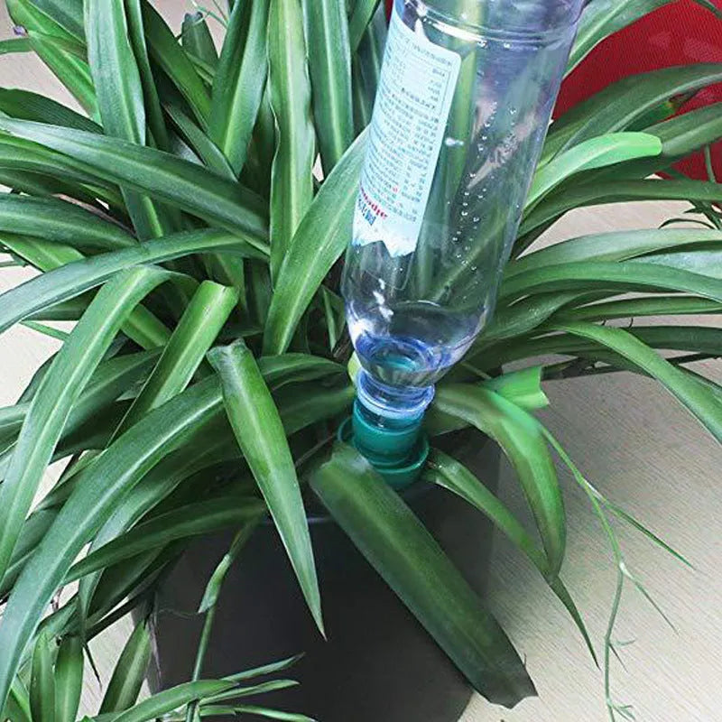 Green ceramic automatic plant dripper attached to cola bottle for watering indoor plants