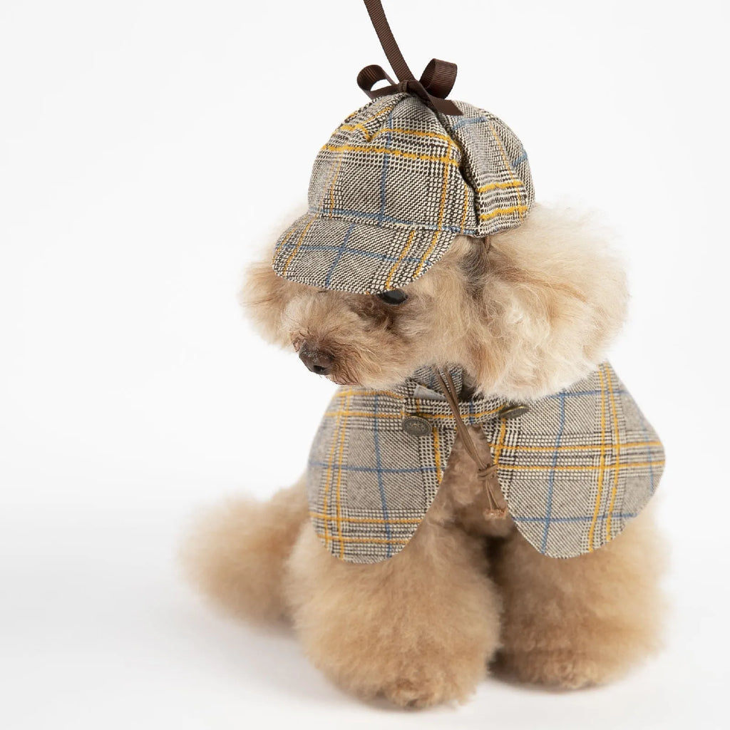 Camel coloured personalised cotton cloak for a dog with an adjustable hood.