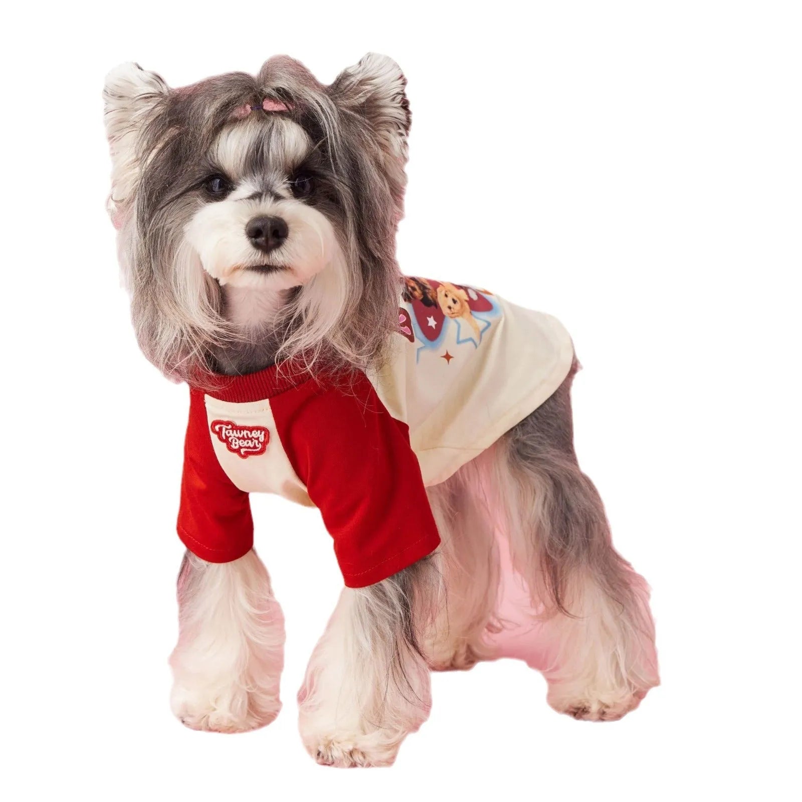Red and pink embroidered cotton summer clothes for a dog on a size scale from XS to XXL.