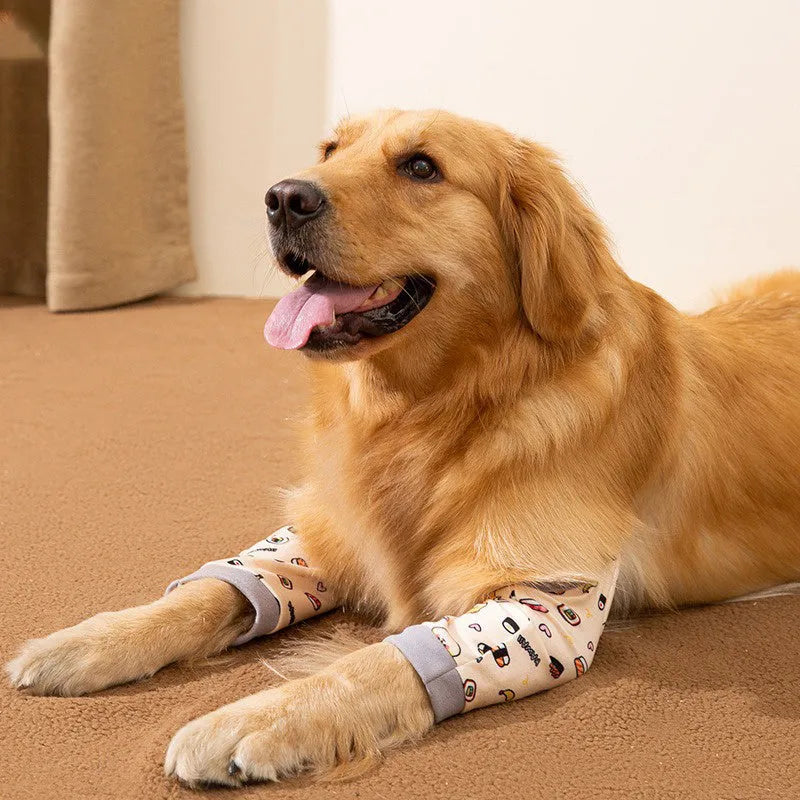 Dog wearing blue knee protector with elbow padding and matching scarf on front leg