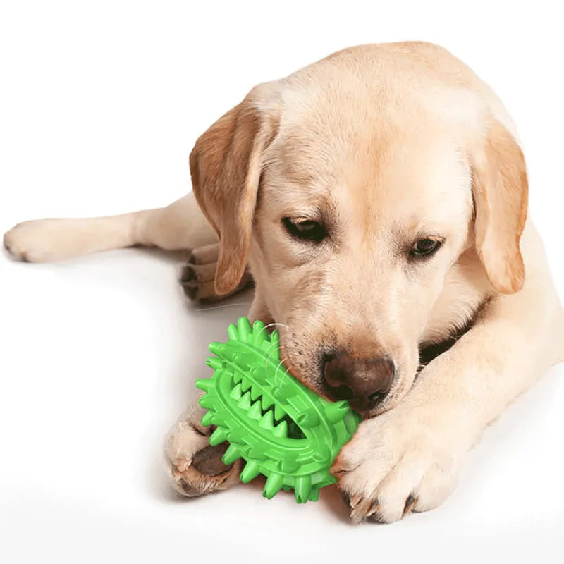 Green durable cactus-shaped dog toothbrush chew toy for aggressive chewing and dental care.