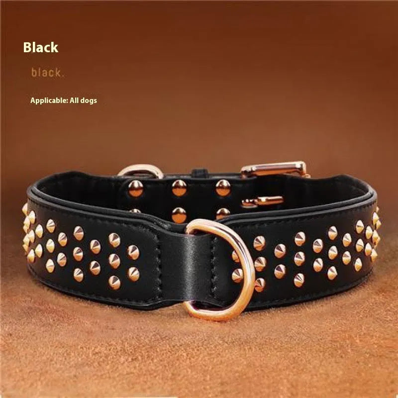 Leather dog collar with metal rivet studs in chocolate colour, shown on a size label.