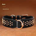 Leather dog collar with metal rivet studs in chocolate colour, shown on a size label.