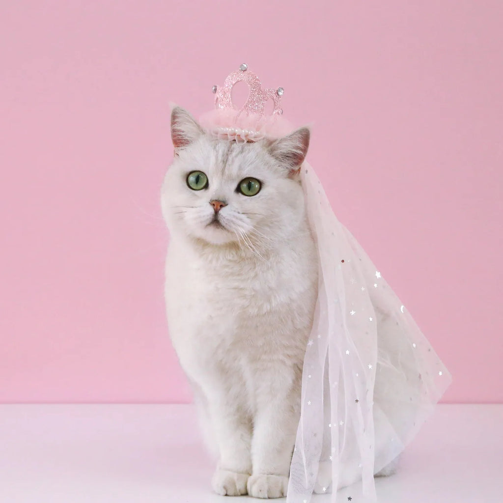 Princess crown headdress with veil for a cat, shown in beige and pink colour options.