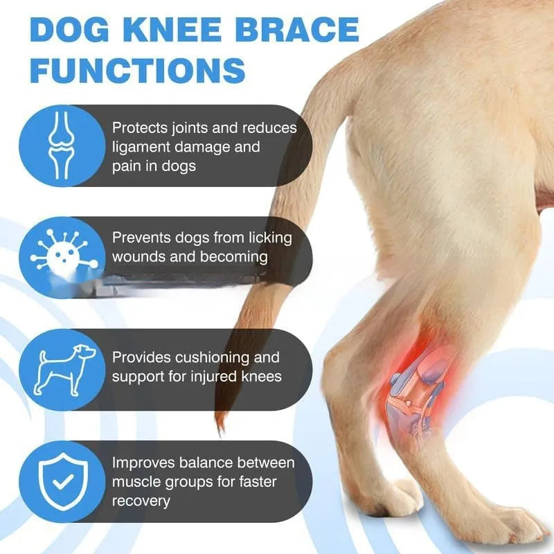 Black adjustable polyester leg guard for dog joint protection and ACL rehabilitation