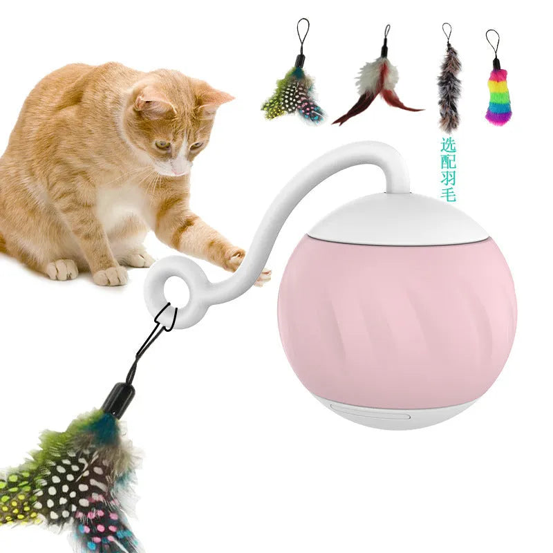 Electric cat luminous ball toy in watermelon or pumpkin design with automatic rotation