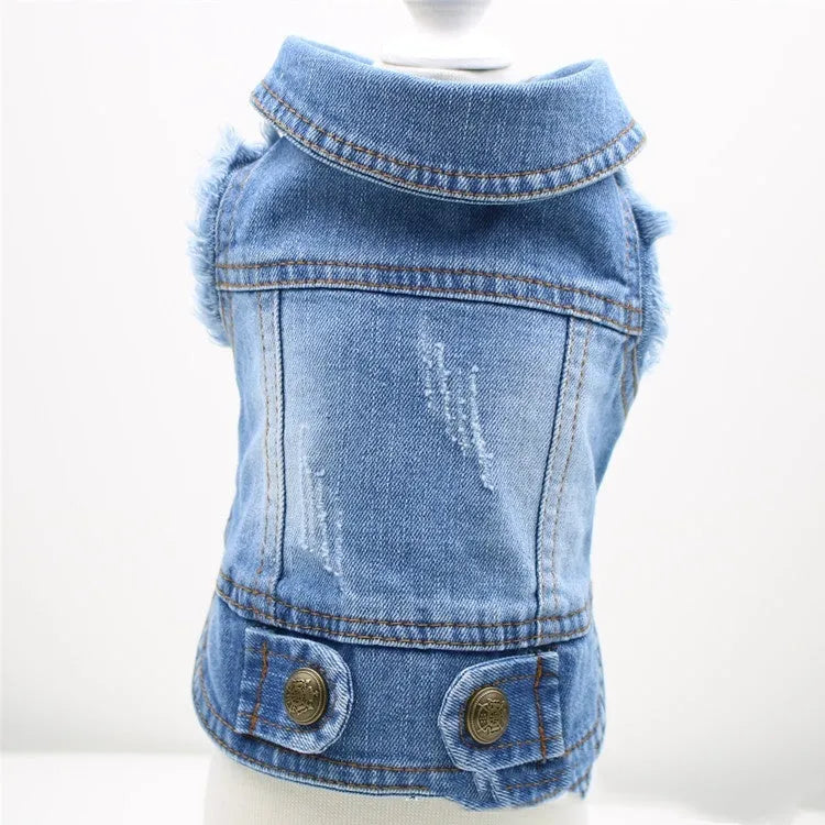 Denim dog vest with scratch pattern in dark wash colour on small breed dog