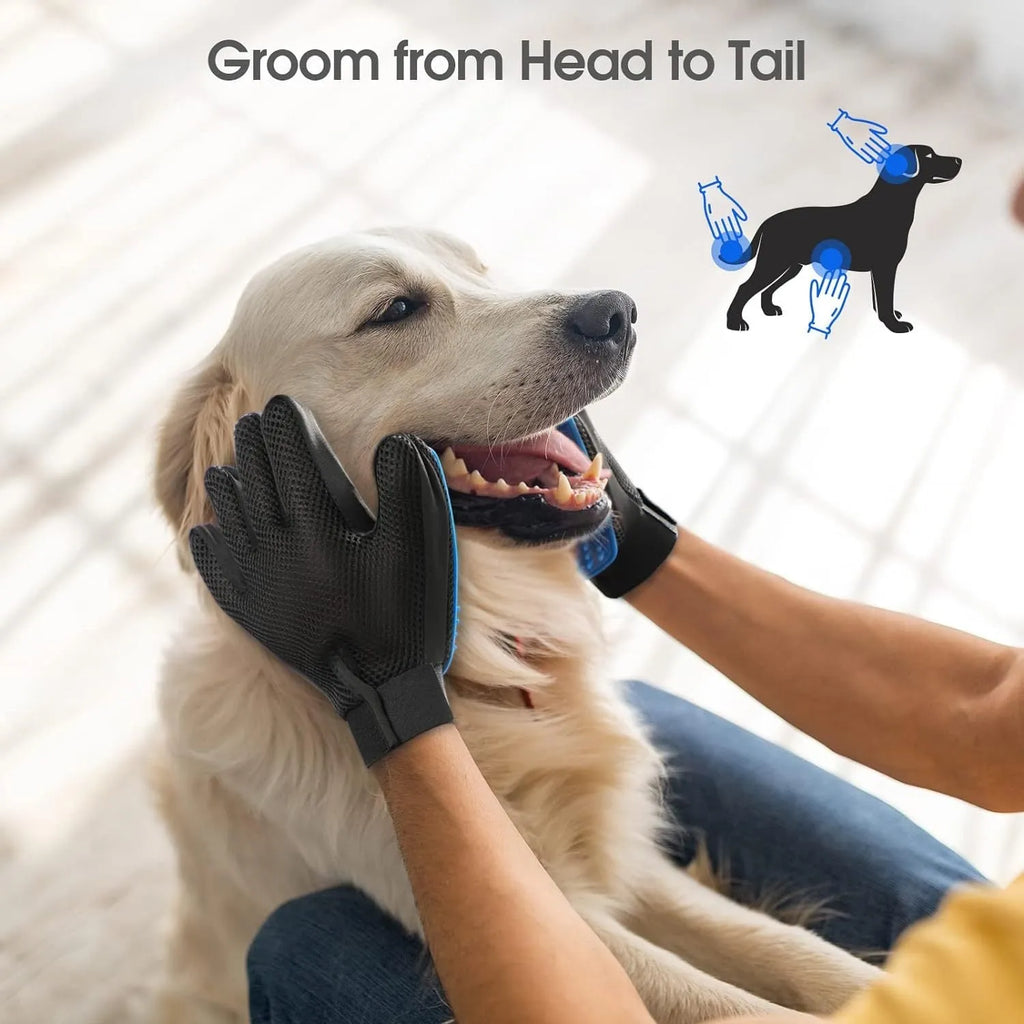 Blue pet grooming gloves with silicone tips for gentle hair removal from dogs and cats