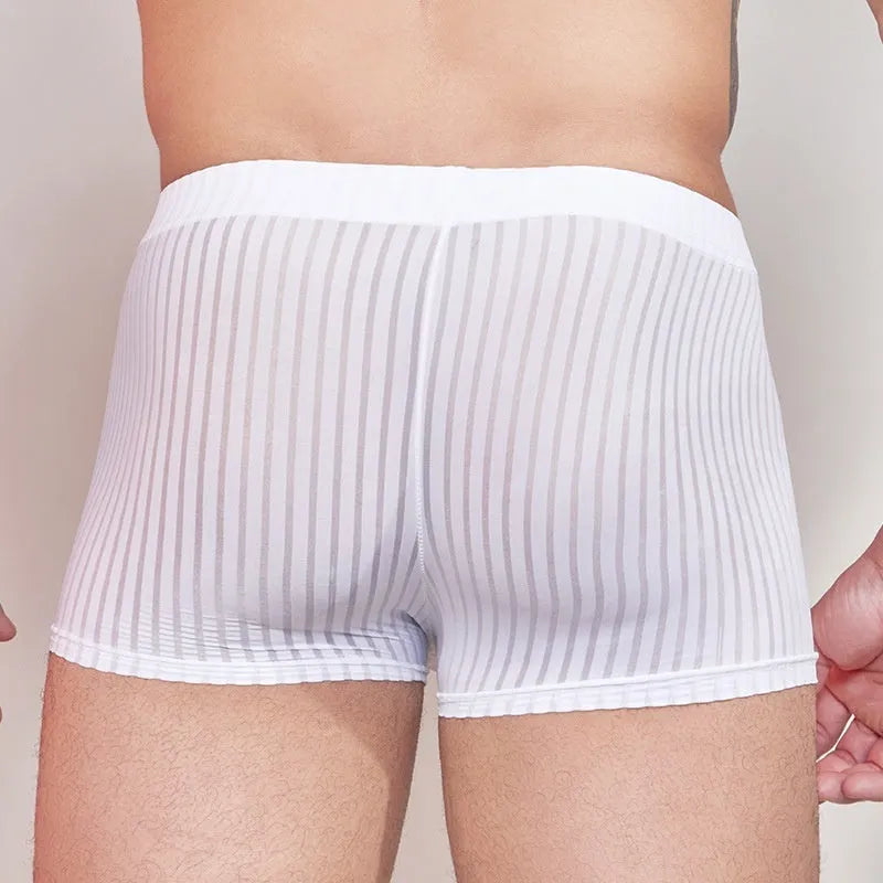 Men's striped thin nylon underwear in black, shown flat.