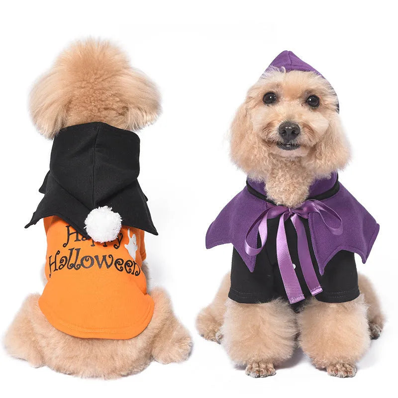 Black and orange Halloween pumpkin themed two-piece dog sweater and shawl set.