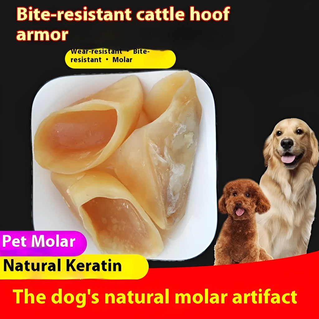 Cowhide dog chew rod in natural hoof shell colour shown in two sizes for small and large dogs