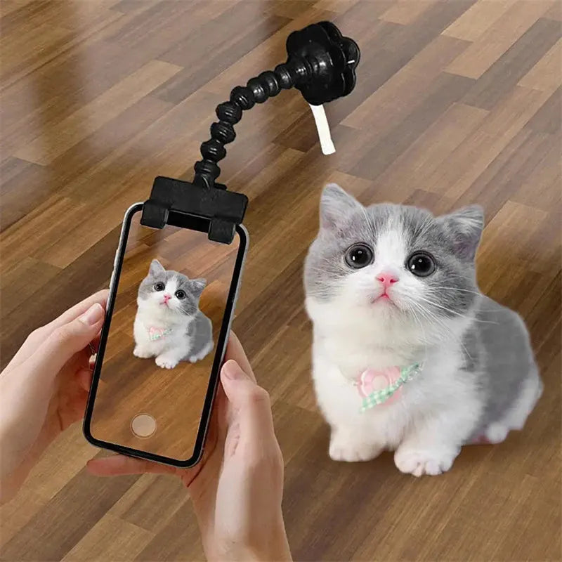 Black and white pet photography phone holder with snack grip and 360-degree rotation