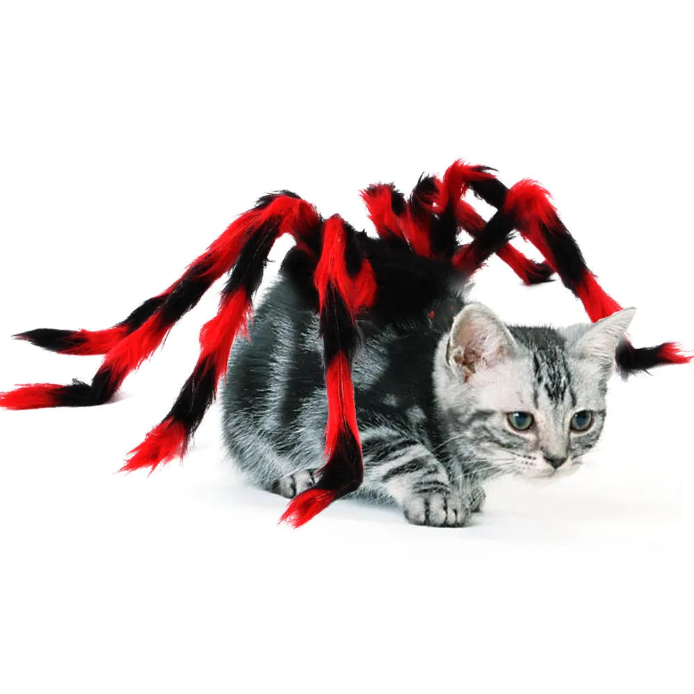 Pet cat dog Halloween creative spider costume in red black cotton fabric on a small dog