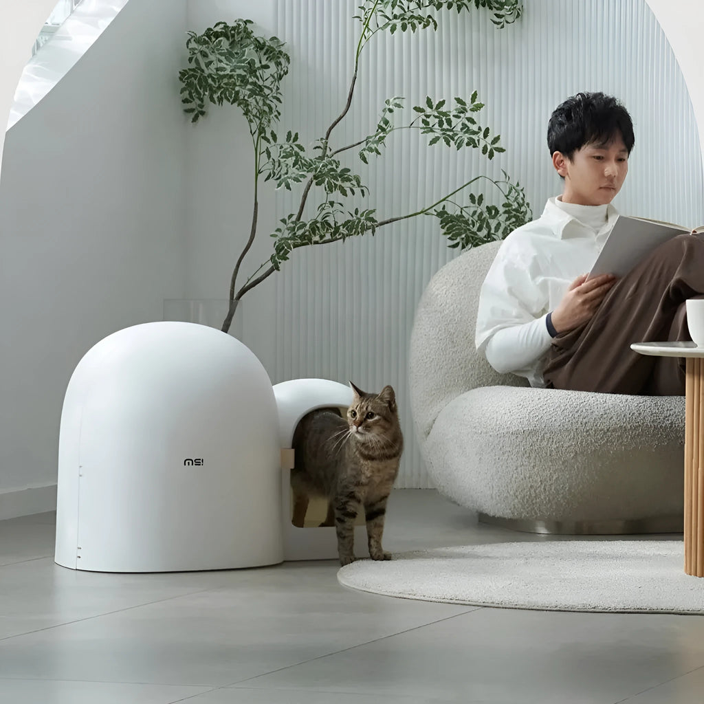 Fully enclosed oversized cat litter box in ABS plastic showing dimensions 67.7cm by 49cm by 50cm