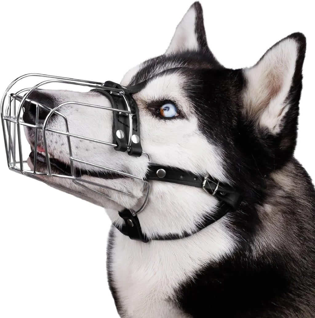 Black metal dog muzzle for Golden Retrievers and German Shepherds with buckle closure