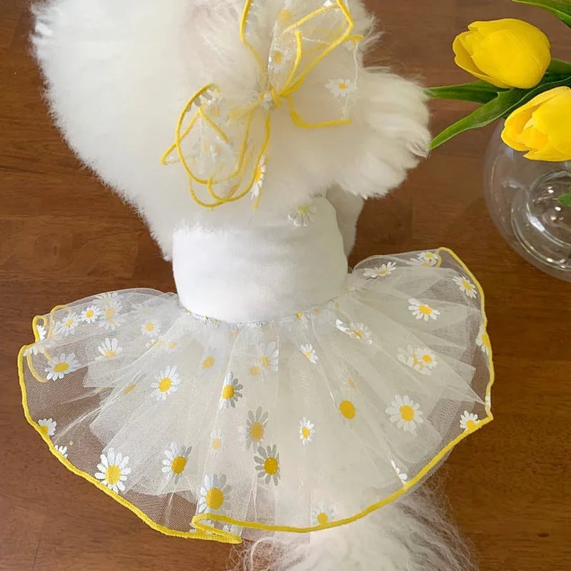 Yellow daisy pattern polyester dog summer clothing outfit shown on dog model