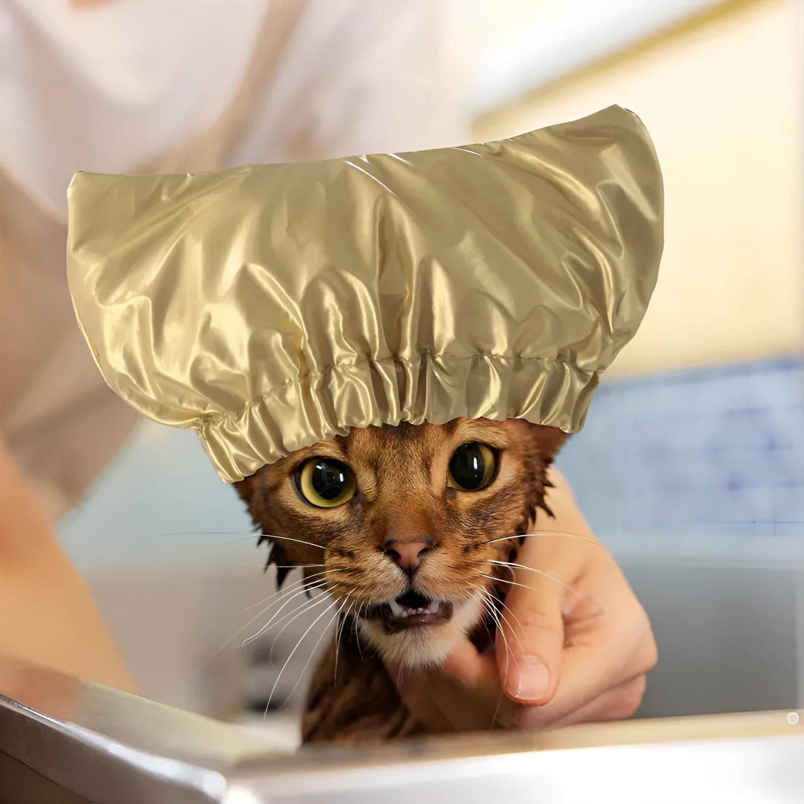 Adjustable waterproof pet shower cap in silver, pink, and gold colours for cats and dogs