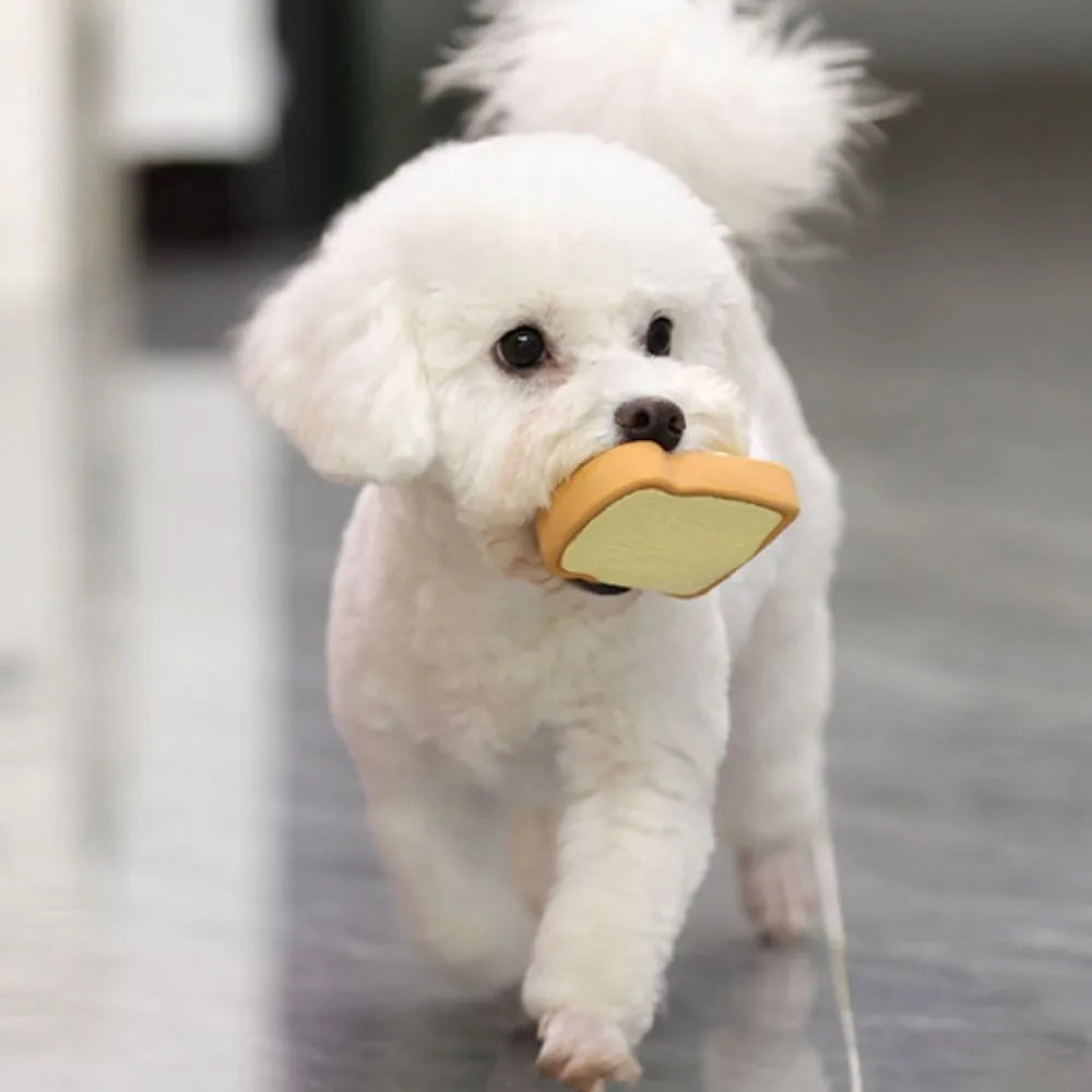 Yellow and green bread-shaped latex dog chew toy with squeaker.