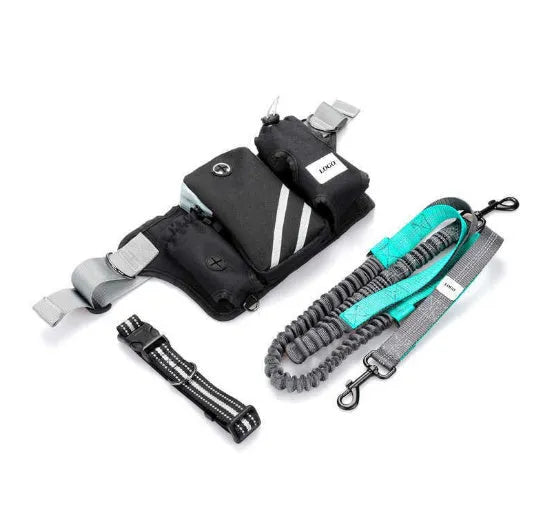 Black nylon outdoor dog walking set showing a waist bag and a hand-holding leash with collar attachment.