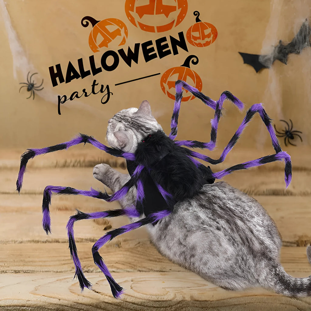 Halloween spider costume for pets in multiple colour options