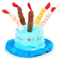 Blue and pink birthday hats for toy dogs showing 21cm width measurement