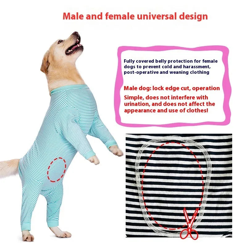 Striped four-legged dog shirt on a Golden Retriever, available in sky blue, brown, and black dark blue stripe.