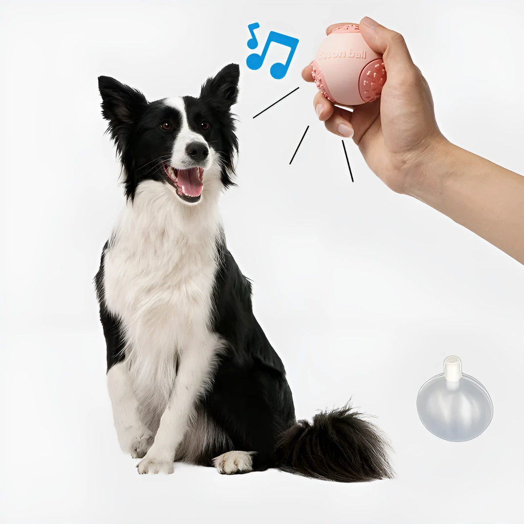 Green rolling ball dog toy for small to medium dogs measuring 64mm diameter