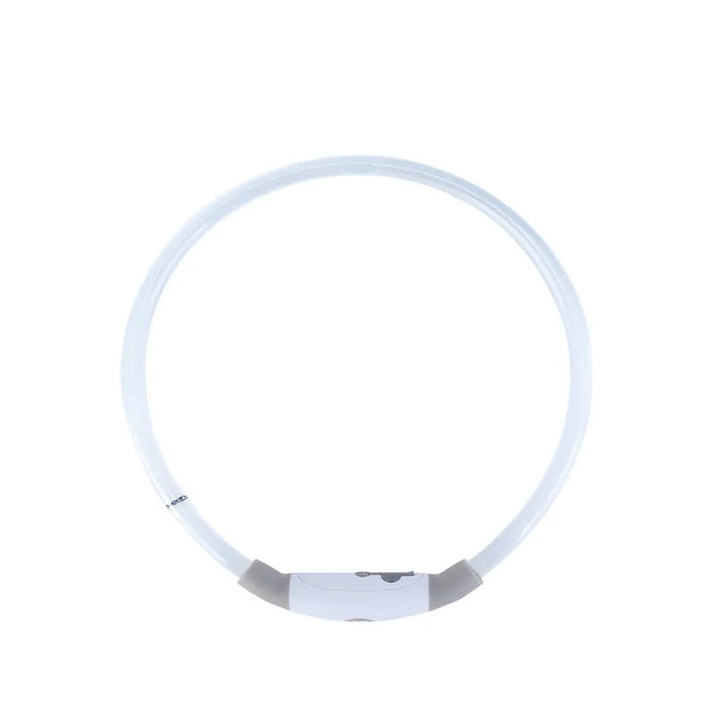 Blue USB rechargeable LED dog collar glowing around a dog's neck at night.