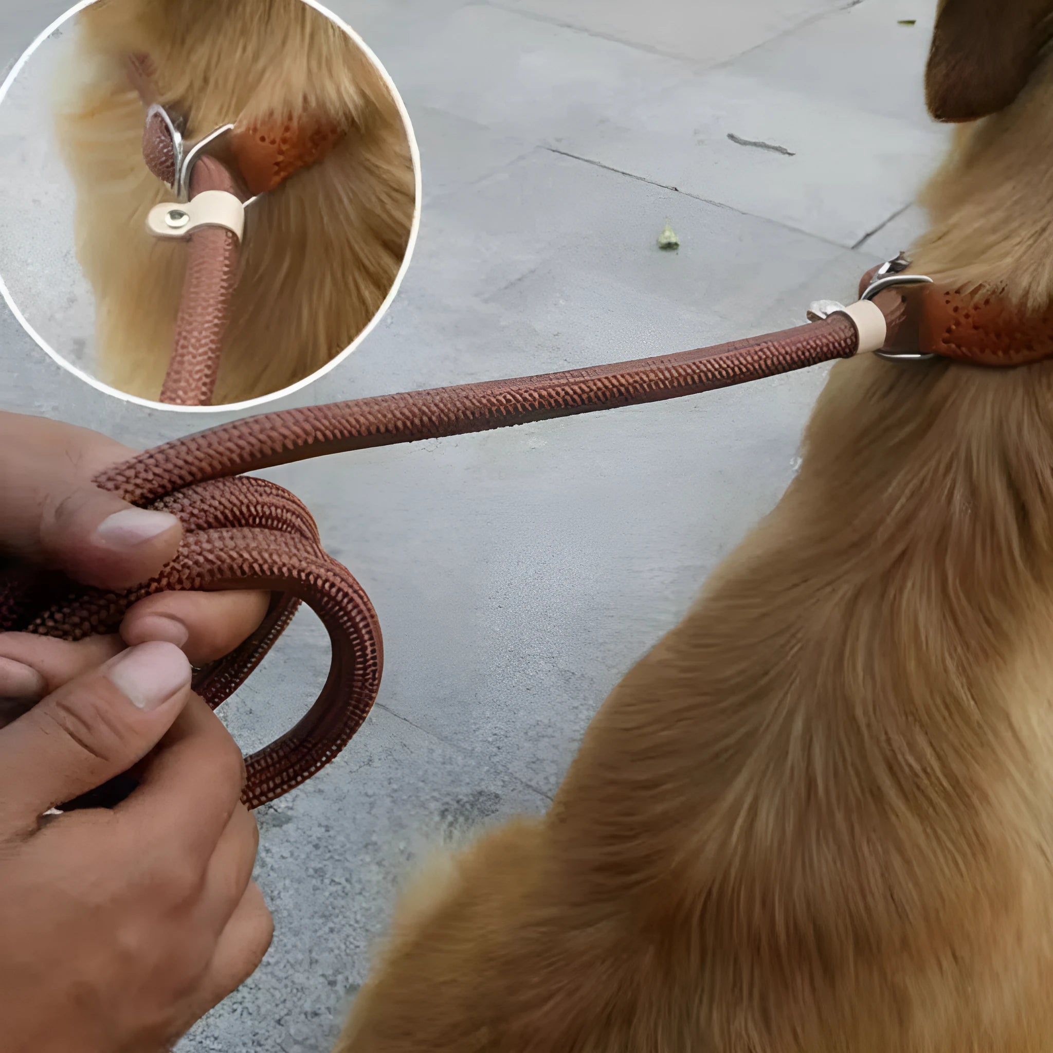 Brown nylon dog leash with P chain hand holding rope, shown at full 2.1 metre length.