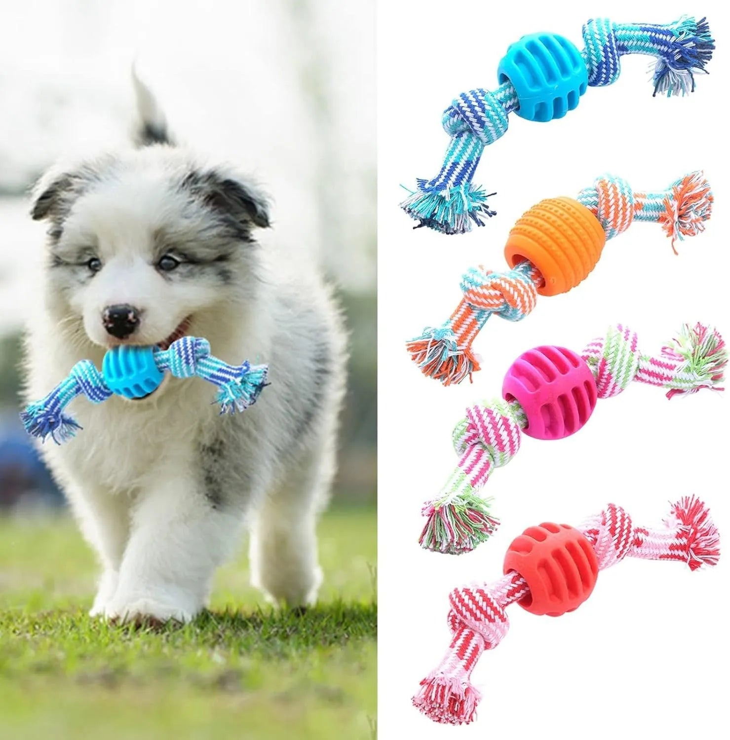 Blue dog chew toy with ropes and textured molar design for teeth cleaning