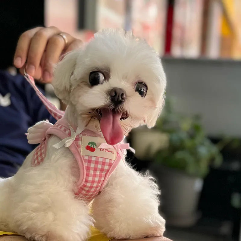 Pink cotton chest-back dog harness with a top handle for a small dog.