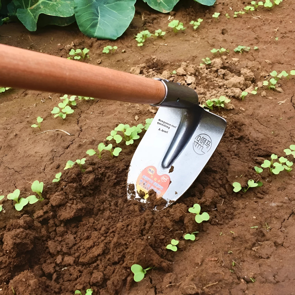 Agricultural pointed hoe with manganese steel construction and steel horse tip for weeding and ploughing
