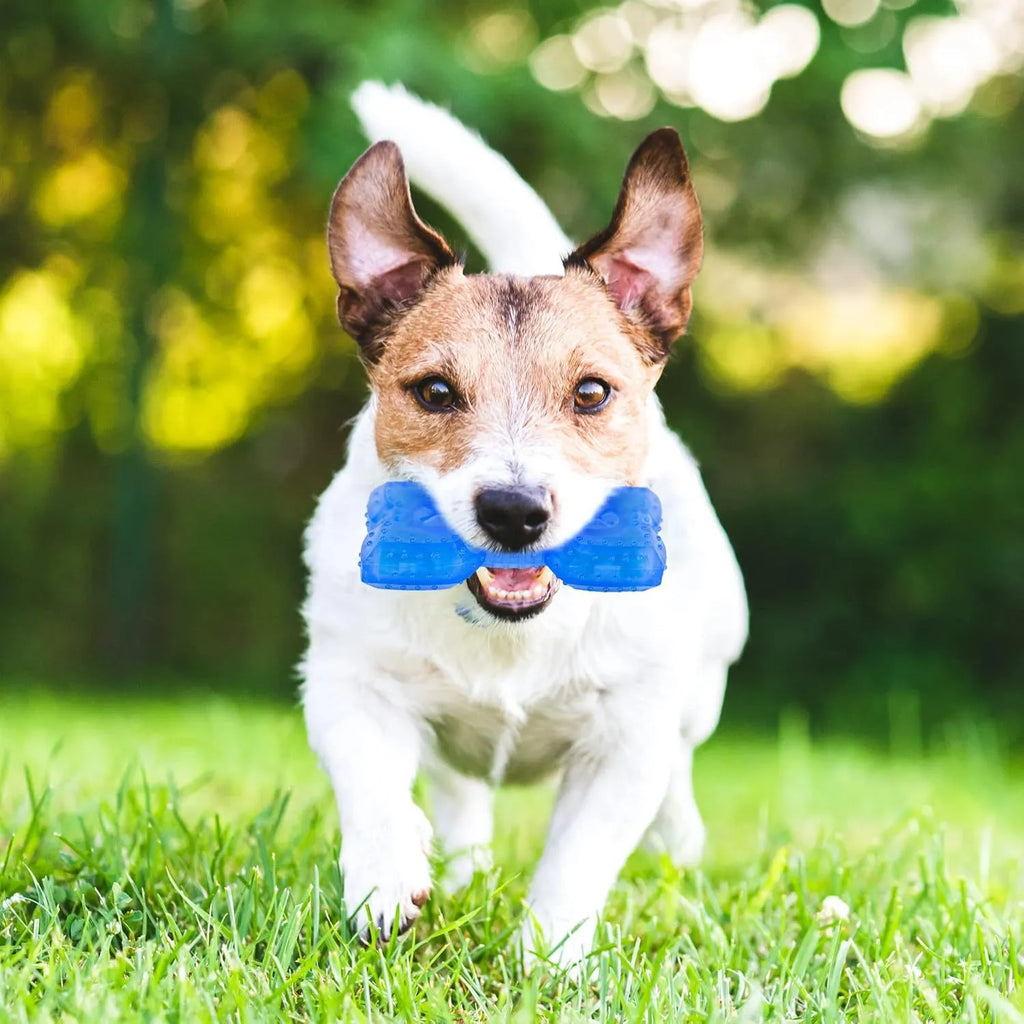 Freezable dog cooling chew toy in bones and circles shapes with thickened design